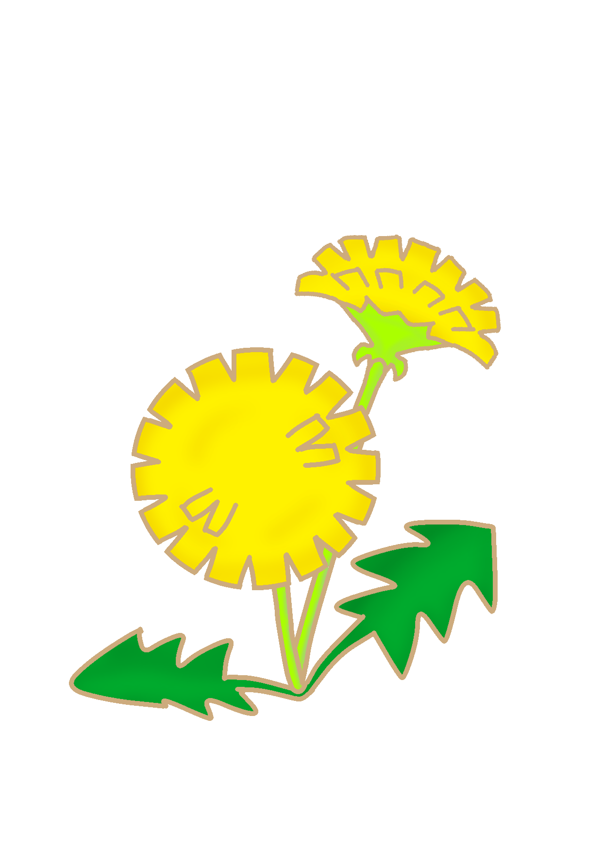 イラスト素材たんぽぽ